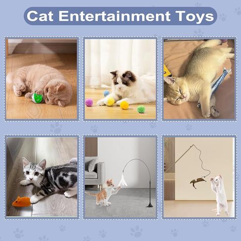 مجموعة القطط الصغيرة للمبتدئين in Kuwait