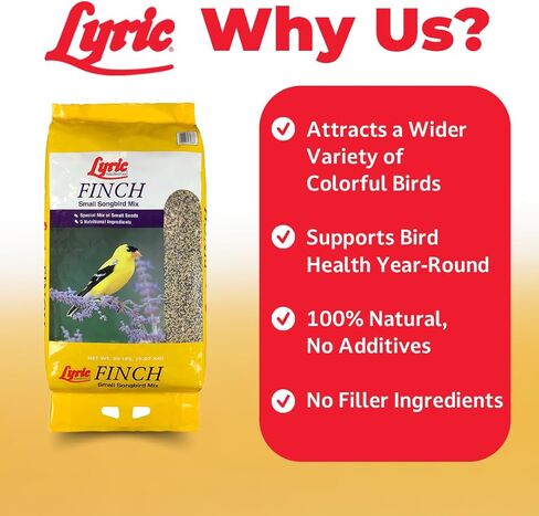 Lyric Finch - بذور الطيور البرية الصغيرة من الطيور المغردة - تجذب طيور الحسون الذهبية، والعصافير المنزلية، والعصافير الأرجوانية والمزيد - حقيبة بوزن 20 رطلًا in Kuwait