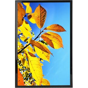Aynoo Floating Picture Frame 7x9 Picture Frame 5x7 6x8 Floating Picture Frame, Table-top Floating Frame Black Modern Style Wooden Display For 4x6 5x7 6x8 7x9 Picture Frame Black (PHSD0709) in Kuwait