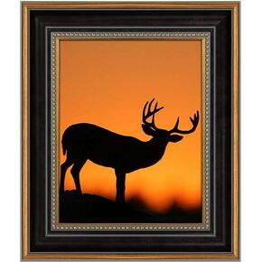 AUEAR، إطار صورة مقاس 11 × 14 للصور مقاس 8 × 10 مع حصيرة أو صورة مقاس 11 × 14 بدون حصيرة، طراز عتيق عتيق، تثبيت على الحائط (أسود وذهبي مزخرف) in Saudi Arabia