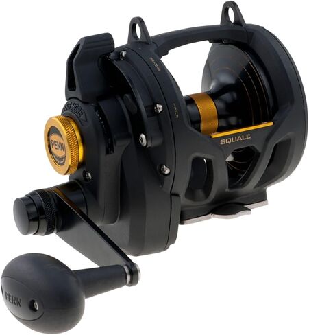 Penn Fishing Tackle Squall Lever Drag 2 Speed Black Gold 55.6 oz in Saudi Arabia