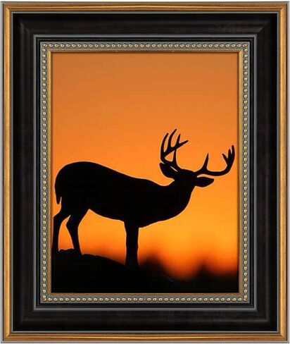 AUEAR، إطار صورة مقاس 11 × 14 للصور مقاس 8 × 10 مع حصيرة أو صورة مقاس 11 × 14 بدون حصيرة، طراز عتيق عتيق، تثبيت على الحائط (أسود وذهبي مزخرف) in Kuwait