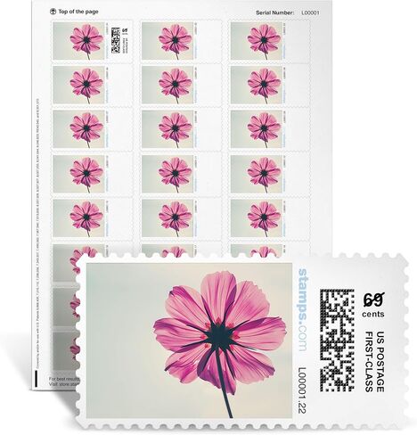 NetStamps Printable Postage Stamps (Stamps.com Subscription Required) – Print Custom USPS Postage at Home – Compatible with Inkjet & Laser Printers – Not Pre-Paid Stamps (Pink Cosmos, 5 Sheets) in Saudi Arabia