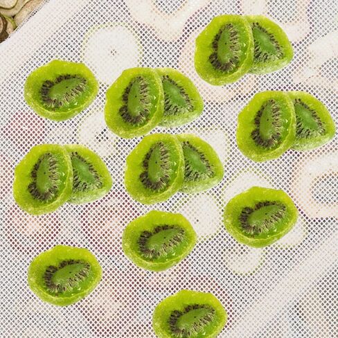 12pcs Non-stick Silicone Dehydrator Mats Mesh Sheets Food Dehydrator Accessories Reusable Drying Pads for Fruits and Vegetables Home in Kuwait