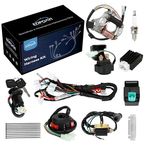 Complete Wiring Harness Kit Compatible with Tao tao Coolster 110cc 125cc 4 Stroke Chinese ATV Quad 4 Wheeler Kazuma SunL NST Roketa Loncin Lifan Baja Vitacci Icebear Buyang Coolsport Parts in Saudi Arabia