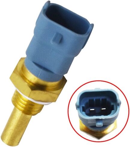 حقيقي درجة الحرارة مفتاح مستشعر درجة الحرارة ل بولاريس رينجر 500 570 700 800 900 0281002209 OEM-جودة استبدال الجزء in Kuwait