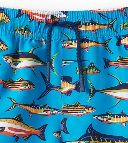 Hatley Boys Swim Board Shorts, Lots Of Fish, 6 Years in Saudi Arabia