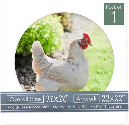 Countryarthouse Gray Acid Free 27 × 27 صورة إطار صورة دائرة مع قصات بيضاء مستحضرات 22x22 الصور - يناسب 27x27 إطار - حزمة 1 matboard in Kuwait