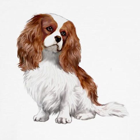 CafePress Cavalier (Blenheim2) شورتات بوكسر، شورتات بوكسر جديدة، ملابس داخلية مضحكة in Kuwait