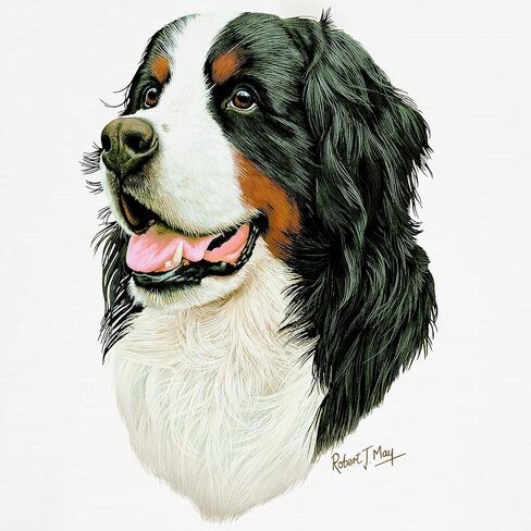 CafePress Bernese Mountain Dog الملاكم السراويل الجدة الملاكم السراويل، الملاكمين الملابس الداخلية مضحك in Kuwait