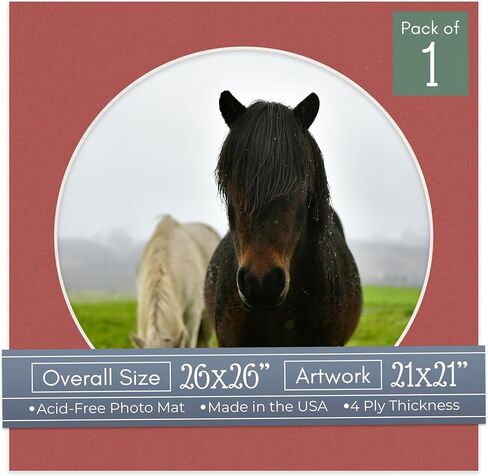 Countryarthouse Honeydew Green Acid Free 26x26 Picture Frame Frame Frame Frame with White Core Bevel Cut for 21x21 Pictures - Fits 26x26 Frame - Pack of 1 Matboard in Kuwait