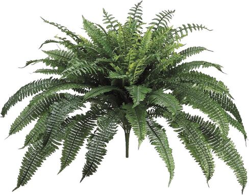 Allstate Floral New Boston Fern Bush، 32 بوصة، عبوة من قطعتين in Kuwait
