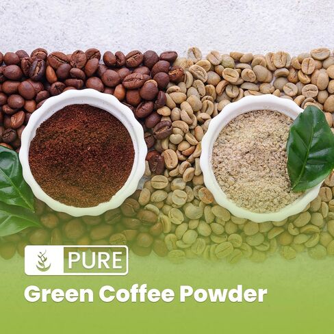 Green Coffee Bean Extract Powder 2% Caffeine & 50% Chlorogenic Acid (HPLAC) Fine Ground in Saudi Arabia