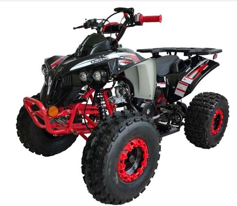 HHH ترقية 125cc ATV Sports ATV Quad Youth Utility Style 125cc ATV أوتوماتيكية بالكامل مع غاز عكسي ATV 4 ويلر أوتلاندر ATV Quads إطارات كبيرة 19/18 بوصة (أحمر) in Kuwait