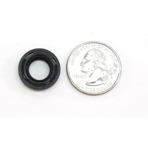 Equivalent Input Shaft Seal fits BMW 3 Series and 5 Series Inline 6 (2.5L3.5L) models with dust lip in Kuwait