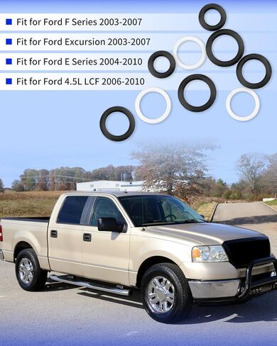 AP0028 طقم سدادة الأنابيب والمنفذ الأمامي مناسب لسلسلة Ford F 2003-2007، Excursion 2003-2007، E Series 2004-2010، 4.5L LCF 2006-2010 استبدل W302209 W301386 W301390 in Saudi Arabia