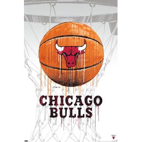 Trends International NBA Chicago Bulls - Drip Basketball 21 Wall Poster, 14.725" x 22.375", Barnwood Framed Version