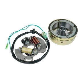 HOLDWELL Flywheel Generator with Stator Magneto 2XJ-85550-M1-00 3JM-85560-00-00 Compatible with 1990-2006 Yamaha Blaster 200 YFS200