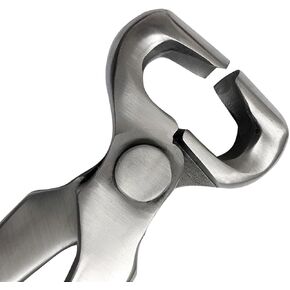 MT MEDITOOLS Farrier Half Round Hoof Nipper, Bevel, Horseshoe, Clipper, Trimming,12", Cutting, Sole, Premium