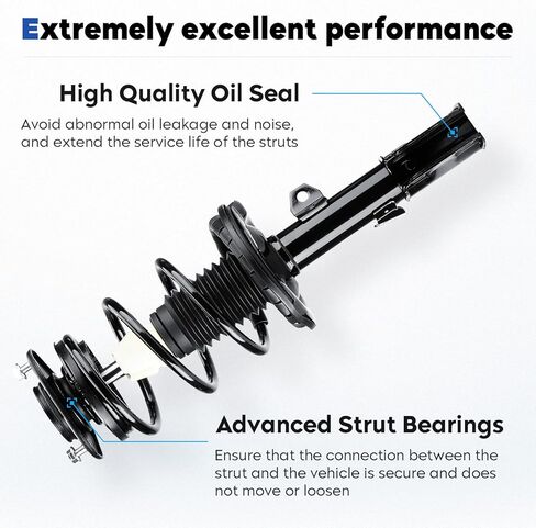 Front and Rear Complete Struts Assembly Shock Absorber Compatible with Scion tC 2005 2006 2007 2008 2009 2010, Replace for 172400L 172391, 4Pcs in Saudi Arabia