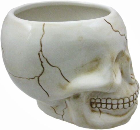 Pacific Giftware ArtMuseKitsMikash Cool Ceramic Skull Bowl W/Bone Spoon in Saudi Arabia