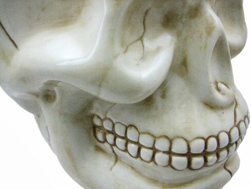 Pacific Giftware ArtMuseKitsMikash Cool Ceramic Skull Bowl W/Bone Spoon in Saudi Arabia