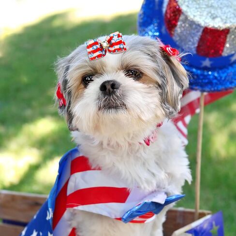 40 Pcs Independence Day Dog Cat Hair Bows Dog Hair Bows with Rubber Bands Patriotic Dog Bow Ties US Flag Rhinestone Fourth of July Dog Accessories for Puppy Pet Grooming Hair Wearing, 20 Styles in Saudi Arabia