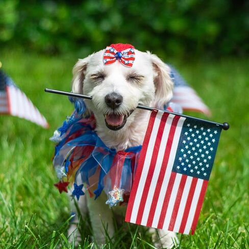 40 Pcs Independence Day Dog Cat Hair Bows Dog Hair Bows with Rubber Bands Patriotic Dog Bow Ties US Flag Rhinestone Fourth of July Dog Accessories for Puppy Pet Grooming Hair Wearing, 20 Styles in Saudi Arabia