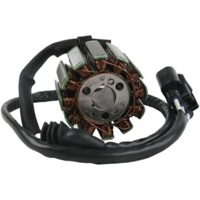 Magneto Generator Engine Stator Coil Fits FZ1 Assembly, 3-7 Days Delivery in Kuwait