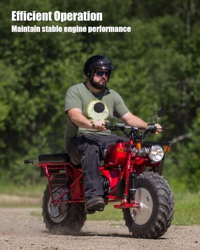 قضبان دفع المحرك 3/16 بوصة × 5.54 بوصة مناسبة لاستنساخ Predator 212 Hemi Honda GX200 196cc ومعظم محركات السباق الصغيرة، قطعتان in Kuwait