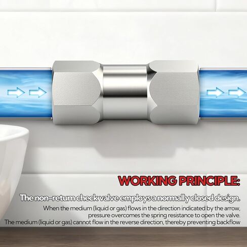 1 قطعة 316L الفولاذ المقاوم للصدأ صمام فحص في اتجاه واحد ، 1/4 "NPT صمام فحص ضاغط الهواء منع التدفق العكسي in Kuwait