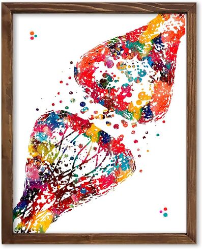 Human Nerve Watercolor Art Print Brain Synapse Receptor Cell Neurology Neuronal Biology Science Teacher Neurotransmitters Connection Clinic Poster Wall Office Home Decor 8x10 inc. Unframed Print in Kuwait