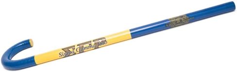 Sigma Gamma Rho Cane - Two Block w/Shield in Saudi Arabia