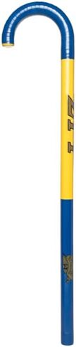 Sigma Gamma Rho Cane - Two Block w/Shield in Saudi Arabia