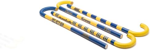 Sigma Gamma Rho Cane - Two Block w/Shield in Saudi Arabia
