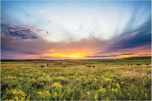 Great Plains Photography Print (Not Framed) Picture of Scenic Sunset over Tallgrass Prairie on Autumn Day in Oklahoma Landscape Wall Art Western Decor (24" x 36") in Saudi Arabia