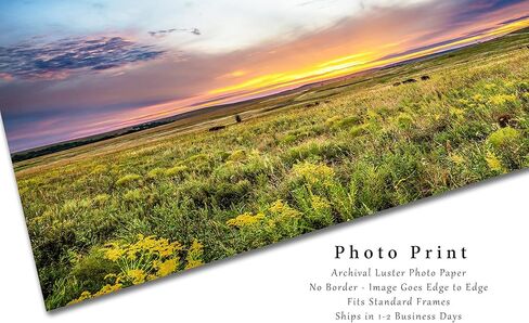 Great Plains Photography Print (Not Framed) Picture of Scenic Sunset over Tallgrass Prairie on Autumn Day in Oklahoma Landscape Wall Art Western Decor (24" x 36") in Saudi Arabia