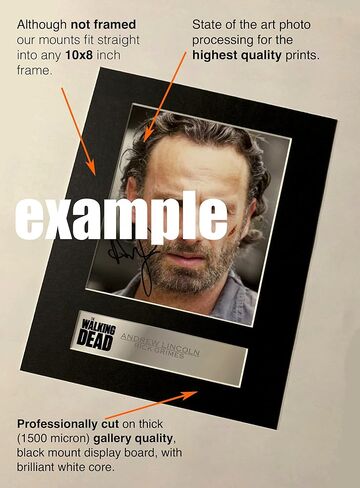 عرض الصور المثبت رقميًا لـ Brad Pitt مقاس 10 × 8 بوصات طباعة صورة توقيعه in Kuwait