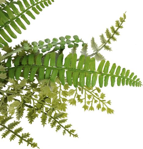 Northlight Fern and Succulents Artificial Spring Teardrop Swag - 28" in Saudi Arabia