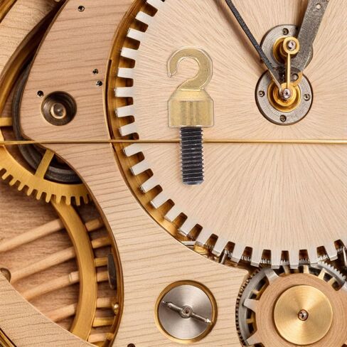Retro Clock Weight: Replacement Shell Hook and Nut Essential Repair Parts for Vintage Grandfather Clocks Replacement Accessories M5 in Saudi Arabia