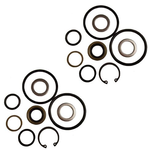 Stevens Lake Parts Set of 2 Steering Cylinder Kit Fits Case 530Ck 580 580B 580Ck Models Replaces A3639 A3639-A A36396 A36396-A Fits Case-Steer-.685 Fits Case-Steer-.685-A in Saudi Arabia