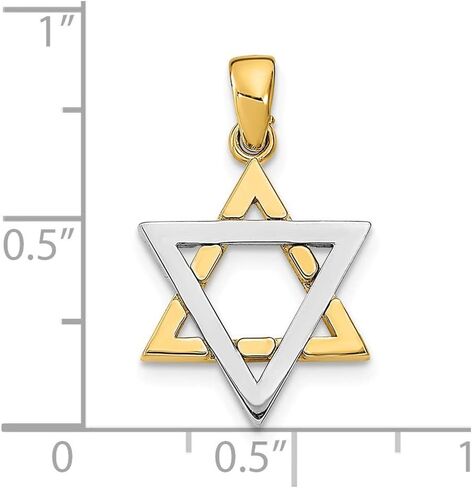 14k Two-tone Gold 3-D Jewish Star of David Charm Necklace Pendant with 18" Length Chain in Saudi Arabia