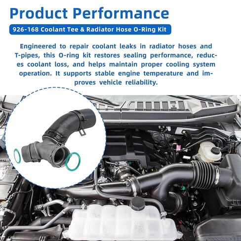 طقم حلقة على شكل حرف O لخرطوم التبريد وخرطوم المبرد 926-168 متوافق مع Ford F-150 3.5L 3.7L 5.0L، لـ 2011-2018 Mustang وLincoln Navigator يناسب DR3Z-8566-A، BC3Z-8590-F إصلاح تسرب خرطوم المبرد in Kuwait