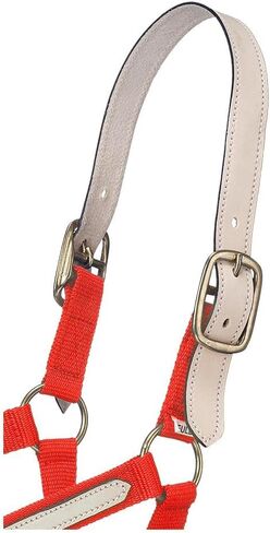 Tough 1 Double-Ply Leather Crown Replacement Straps, Horse in Saudi Arabia