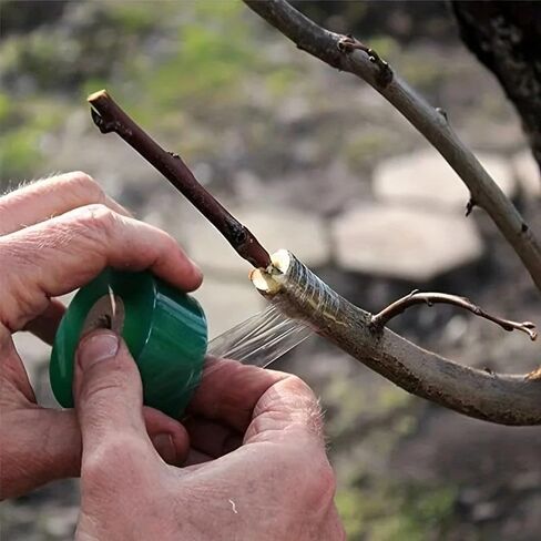 Self-Adhesive PE Grafting Tape Film Stretchable Garden Tree Plants Seedlings Vine Tomato Grafting Accessories in Saudi Arabia