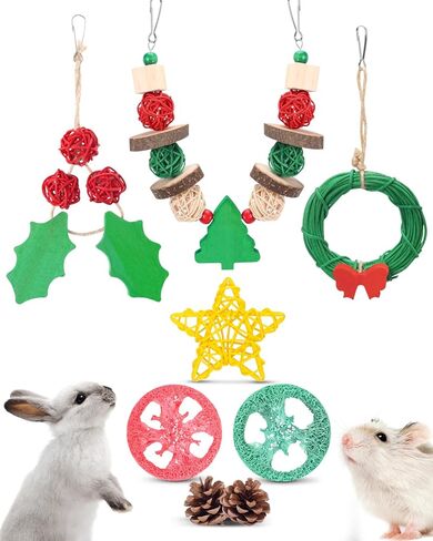 Xylolfsty 3PCS Chinchilla Toys Guinea Pig Bunny Rabbit Chew Toys Teeth Care Grinding Accessories for Small Animals Dwarf Pet Rat Cage Hanging Halloween-Themed in Saudi Arabia