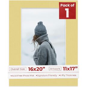 11x17 MAT for 16x20 Frame - Precut Mat Board -Acid Red 11x17 Photo Matte مصنوعة لتناسب إطار صورة 16x20 ، لوحة متميزة للصور العائلية ، ومجموعات العرض ، والفن ، وتأطير الصور ، وحزمة 1 حصيرة in Kuwait