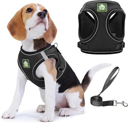 خطوة في تسخير الكلب مع مجموعة المقود ، شبكة ناعمة مبطنة واضحة للتنفس للكلب صغير الحجم ، عاكس لا سحب لا يوجد خنق سترة قطة ، ستوبيات الحيوانات الأليفة السهلة ، الأزرق ق ، in Kuwait