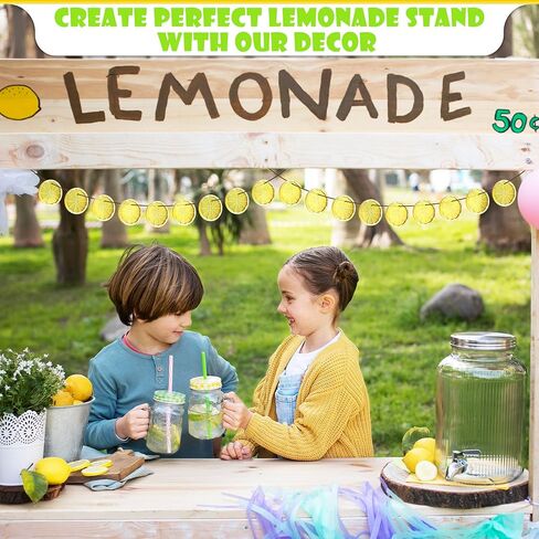 12Pcs Fake Lemon Slices Artificial - Fruit Party Decorations Fake Lemon Fruit Decorations for Party Lemon Kitchen Decoration - Simulation Yellow Lemon Home - 2 Inch Plastic Vegetable Decor Kitchen in Saudi Arabia