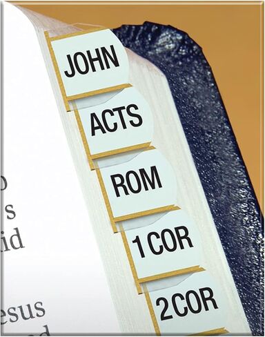 G.T. Luscombe Company, Inc. Gold Verse Finder Bible Tabs | Easy to Install, Self-Aligning, Just Press & Stick | Horizontal Text | Complete Set of Tabs for The Old & New Testaments in Saudi Arabia